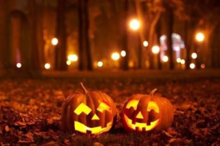 Thurgau - Eierwürfe an Haustüren an Halloween - Rund ein Dutzend Meldungen