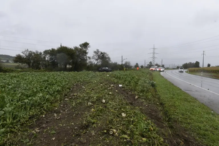 Sünikon ZH - Mutmasslicher Raser nach Unfall verhaftet