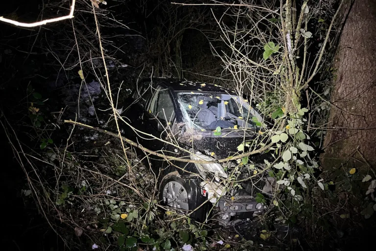 Murgenthal AG – Auto kommt von Strasse ab und landet in Wald
