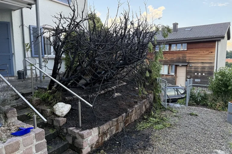 Stadt Schaffhausen – Thuya Hecke in Brand geraten