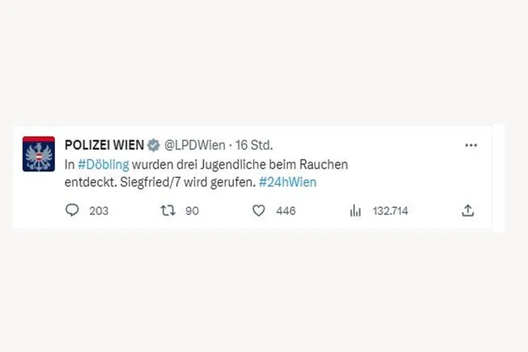 Wien - #24hWien – Einen Tag alle Einsätze mitverfolgen 