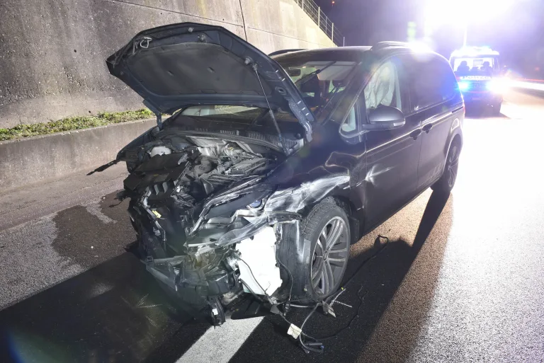 Dagmersellen LU - Verkehrsunfall auf Autobahn A2 - Hündin springt auf die Strasse