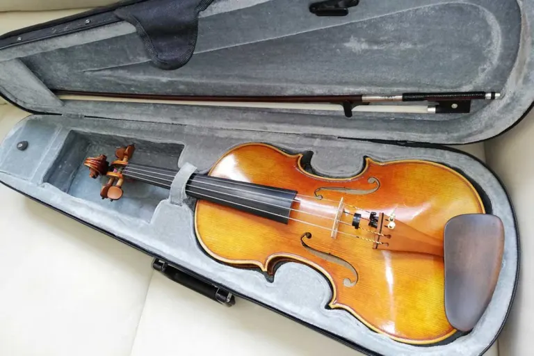 Leipzig – Instrument im Wert von ca. 17.500 EUR im Regionalexpress vergessen