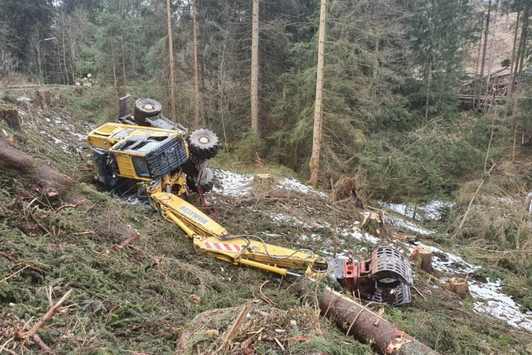 Altenau - Forstunfall endet glimpglich