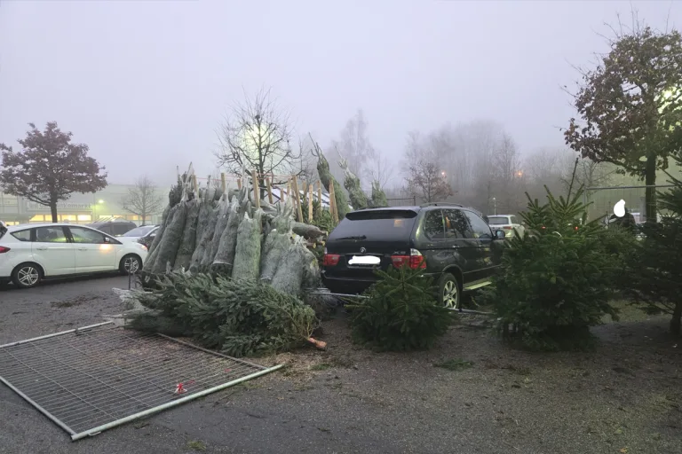 Clausthal-Zellerfeld – Pkw kollidiert mit Weihnachtsbäumen