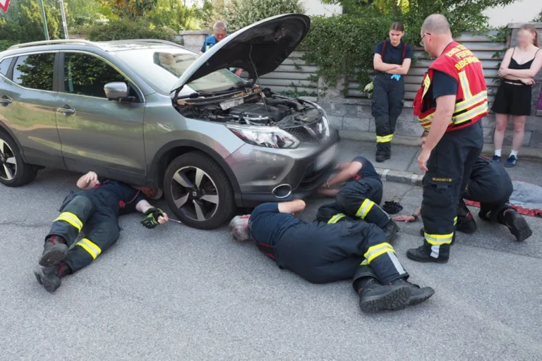 Biedermannsdorf NÖ – Feuerwehr befreit Kater Murmel aus Motorraum