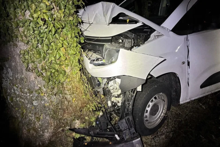 Hallau SH – Lieferwagen prallt bei Unfall gegen Baum