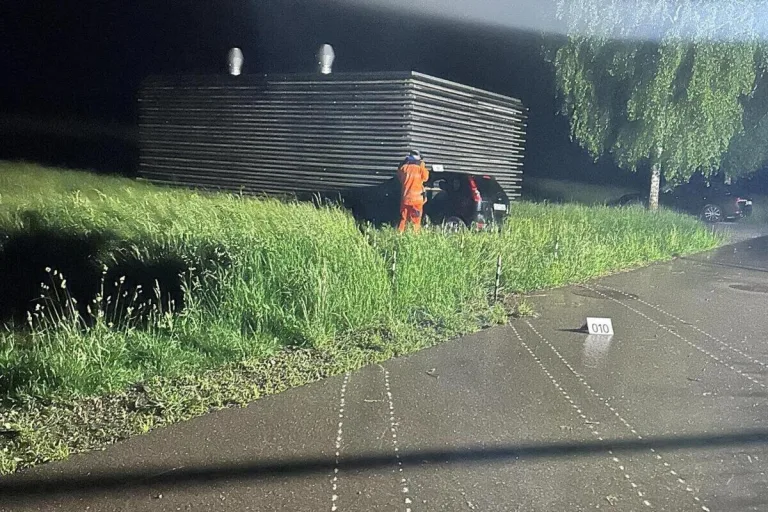 Unfall in Gossau ZH – Tier ausgewichen