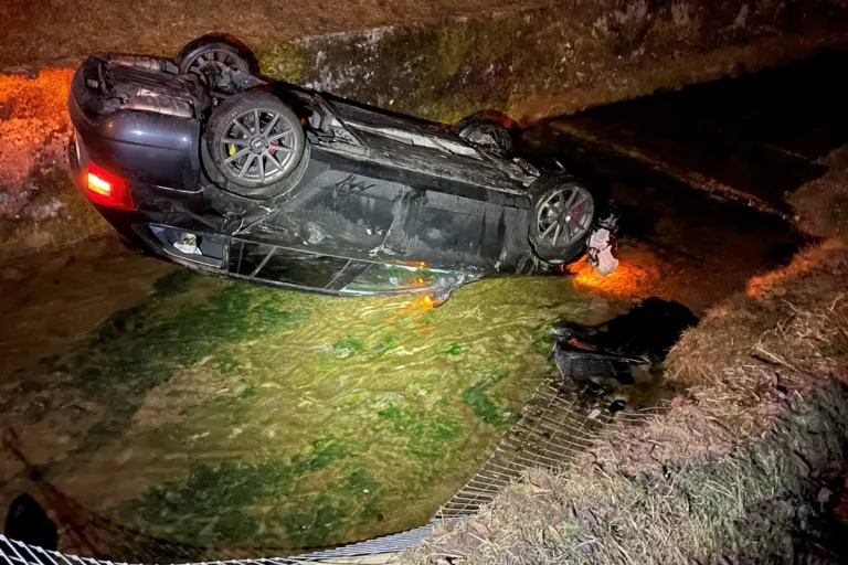 Buhwil TG - 23-Jähriger baut alkoholisiert Unfall