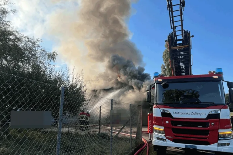 Strengelbach AG - 94-Jährige stirbt bei Brand