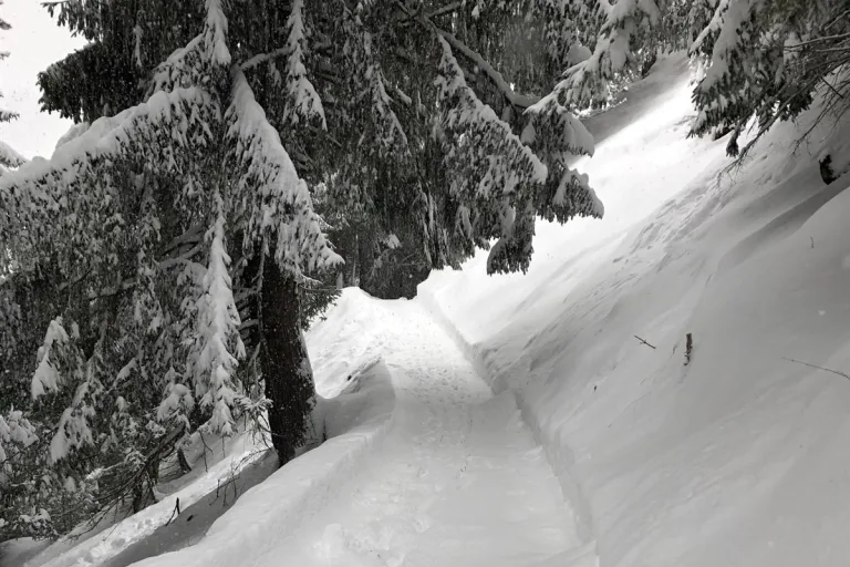 Langwies GR – Motorkarren mit Schneeschleuder überschlagen
