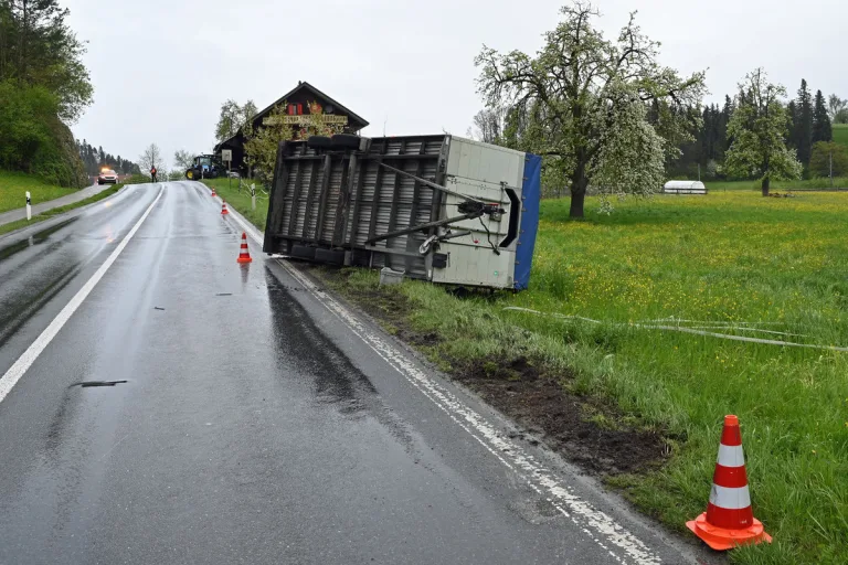 Unfall in Menznau LU - Anhänger mit Schweinen umgekippt 