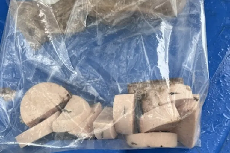 Cloppenburg/Vechta - Achtung! Köder mit Rasierklingen gefunden