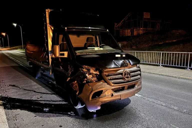 WIldunfall in Hätzingen GL – Lieferwagen kollidiert mit Hirsch