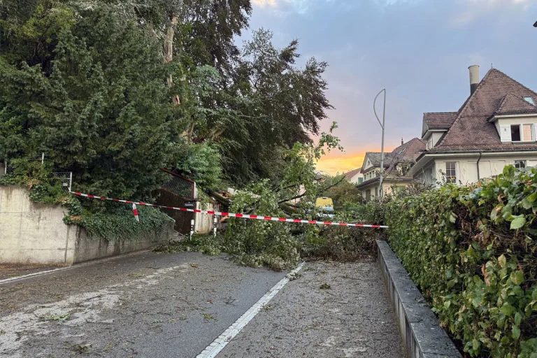 St. Gallen – Unwetter verursacht zahlreiche Sachschäden