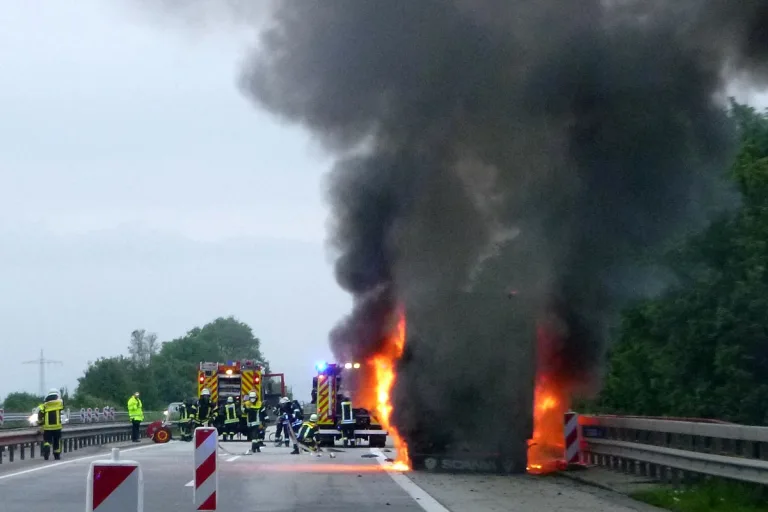 Gensingen - Olivenbäume auf Autobahn verbrannt