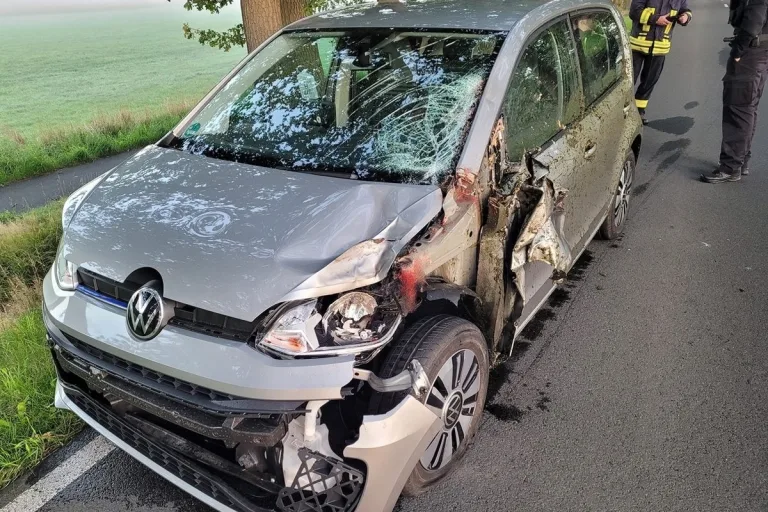 Ottingen NI - Zwei entflohene Pferde sterben beim Verkehrsunfall 