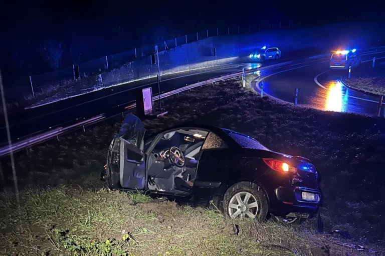 A3 / Rheinfelden AG - Bei Unfall im Wiesland gelandet