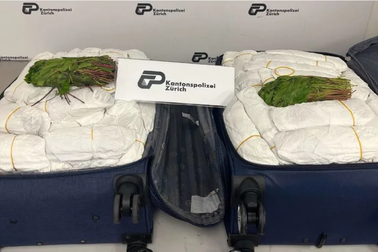 Flughafen Zürich und Wetzikon ZH - Polizei hat Khat und Heroin sichergestellt