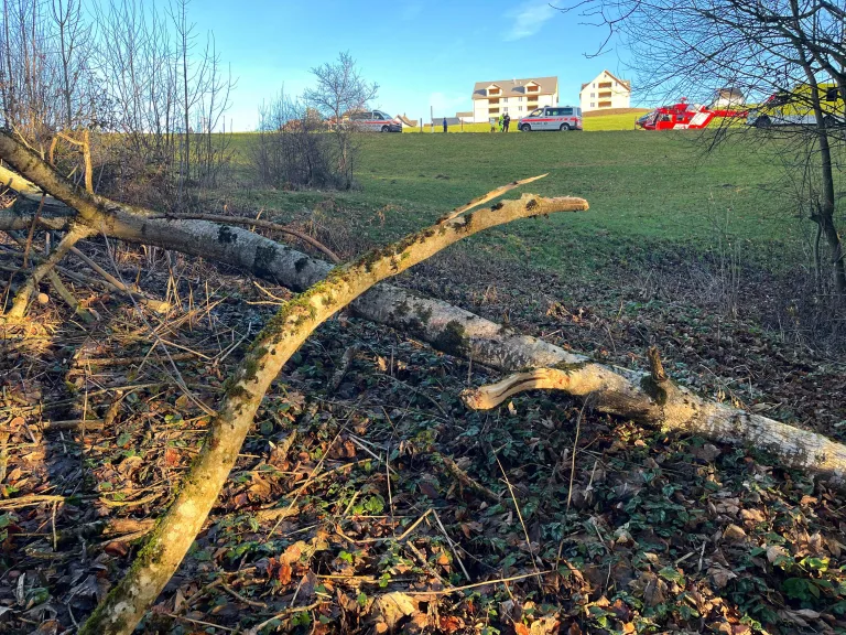 Hemberg SG – Mann nach Unfall beim Holzen per Rega ins Spital geflogen
