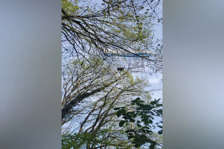 Gleitschirmflieger in Hennef aus unbekannten Gründen abgestürzt