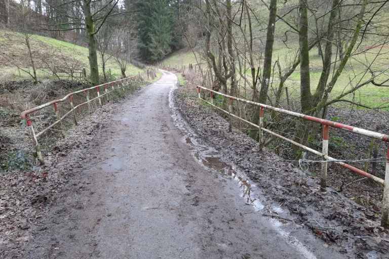 Weinheim – Nylonseil über ausgewiesene Mountainbike-Strecke gespannt – Die Polizei sucht Zeugen
