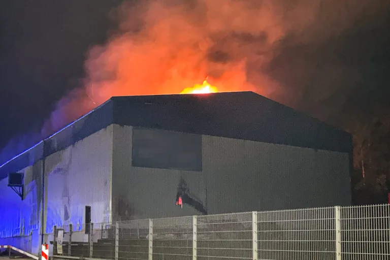 Bubendorf BL – Starke Rauchentwicklung bei Firmenbrand