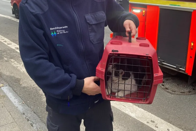 Mülheim an der Ruhr NW - Feuerwehr befreit Katze aus misslicher Lage