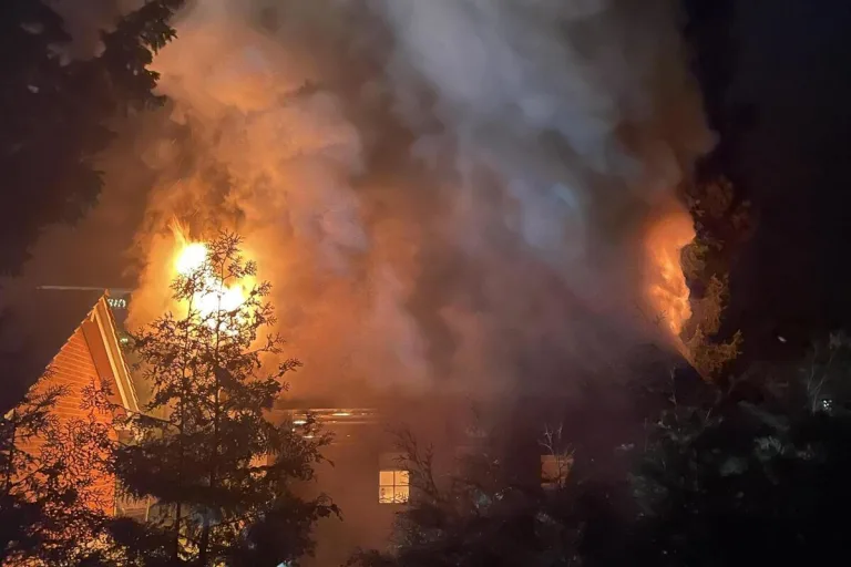 Rikon im Tösstal ZH - Hoher Sachschaden nach Brand eines kleinen Chalets