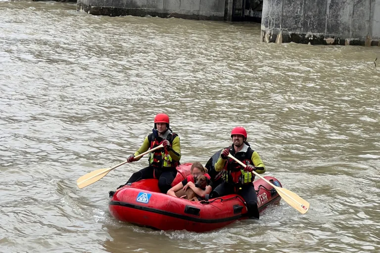 Oberföhring BY - Hund in der Isar
