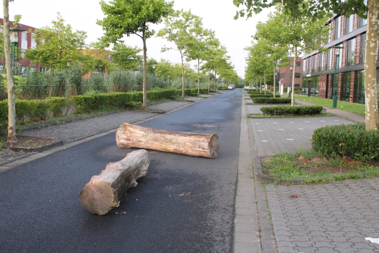 Willich NW – Unbekannte blockieren Straße mit Baumstämmen