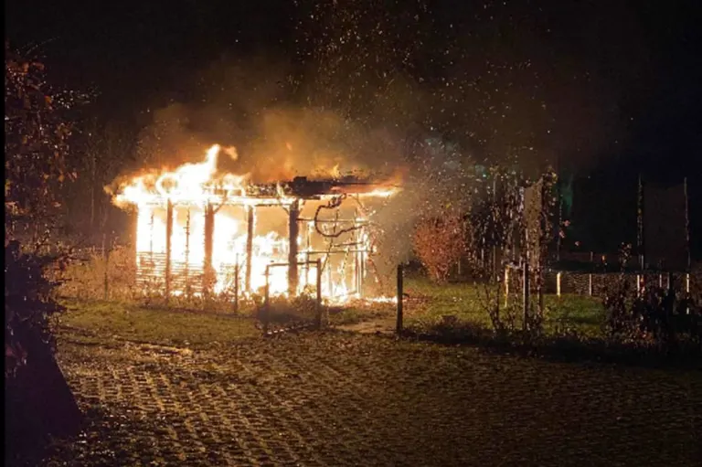Ziefen BL – Brand einer Gartenlaube erfordert Feuerwehreinsatz