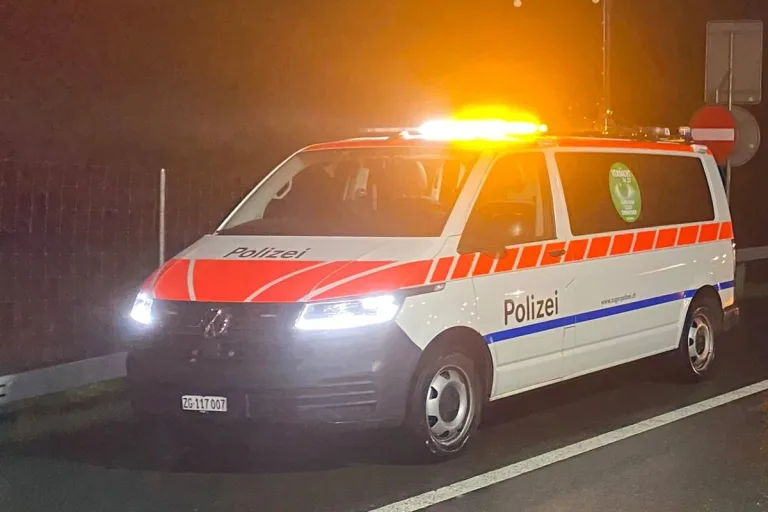 Steinhausen ZG - Zwei Chauffeure ohne gültige Führerausweise unterwegs