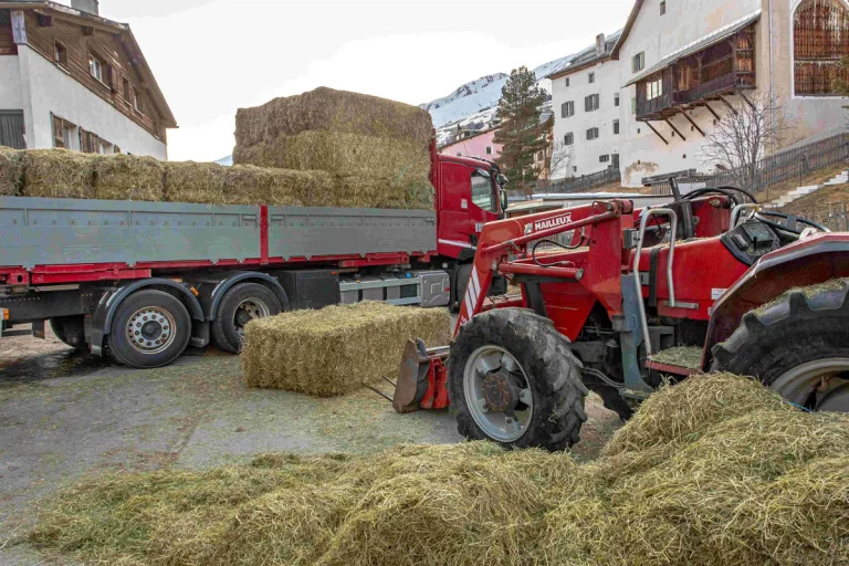 Drama in S-chanf GR – Landwirt durch Heuballen erschlagen worden