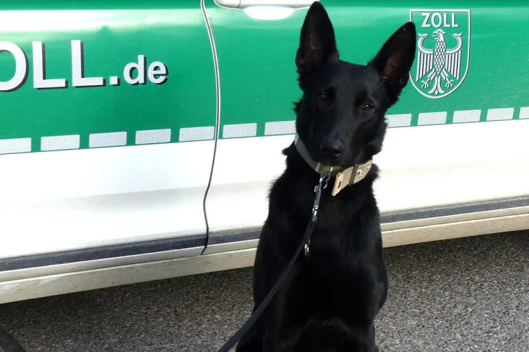  A3 im Landkreis Würzburg – Zollhund erschnüffelt Rauschgift
