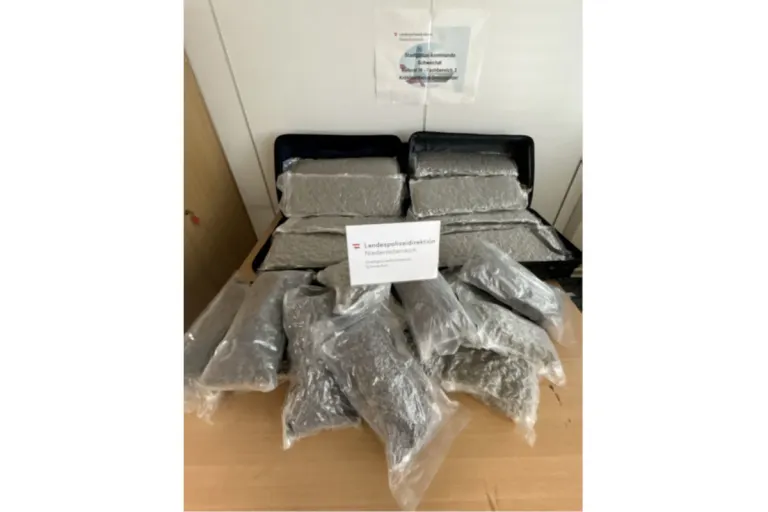 Schwechat – 49 Kilogramm Cannabis im Gepäck am Flughafen gefunden