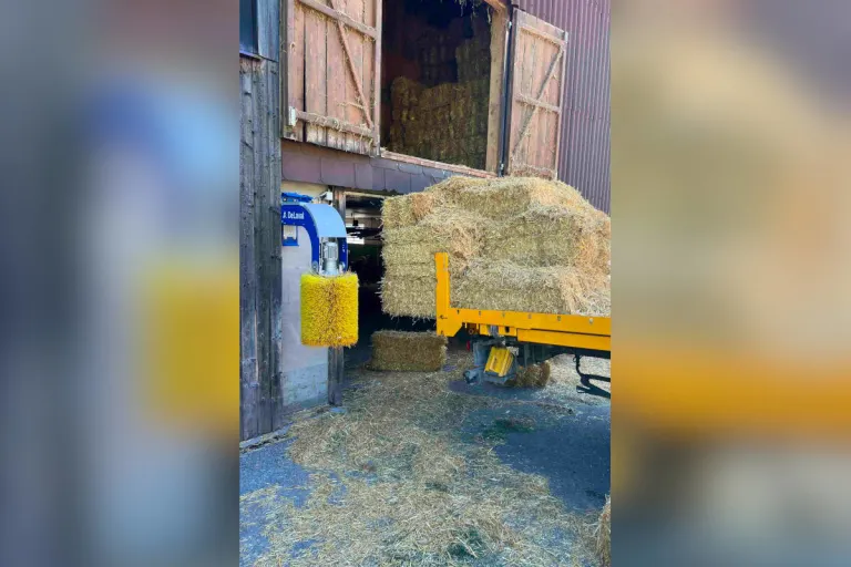 Stein SG – Bei Arbeitsunfall von Lastwagen gestürzt