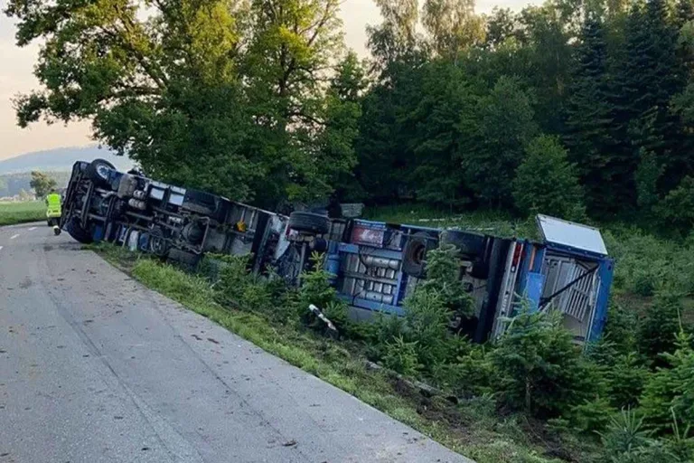 Fahrwangen AG - Schweinetransporter umgekippt - Mehrere Schweine tot!