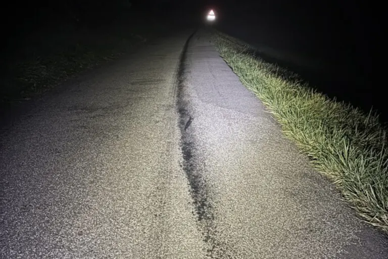 Sulz AG – Ölspur auf Strasse entdeckt