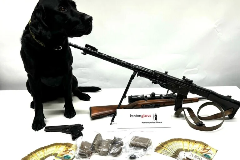 Kanton Glarus - Polizeihund ‘Flake’ hilft Drogen, Bargeld und Schusswaffen sicherzustellen 