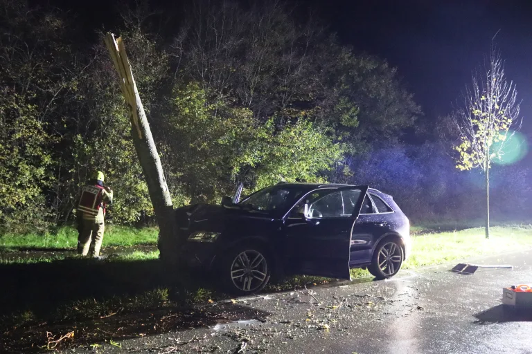 Gangelt-Birgden – Fahrer nach Kollision mit Baum verletzt