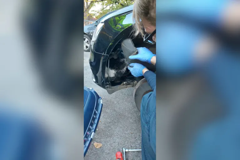 Essen – Feuerwehr befreit "blinden Passagier" aus Motorraum