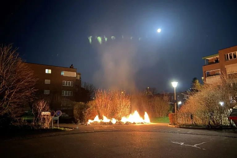 Münchenstein BL - Erneute Brandstiftung - Karton in Brand gesetzt!