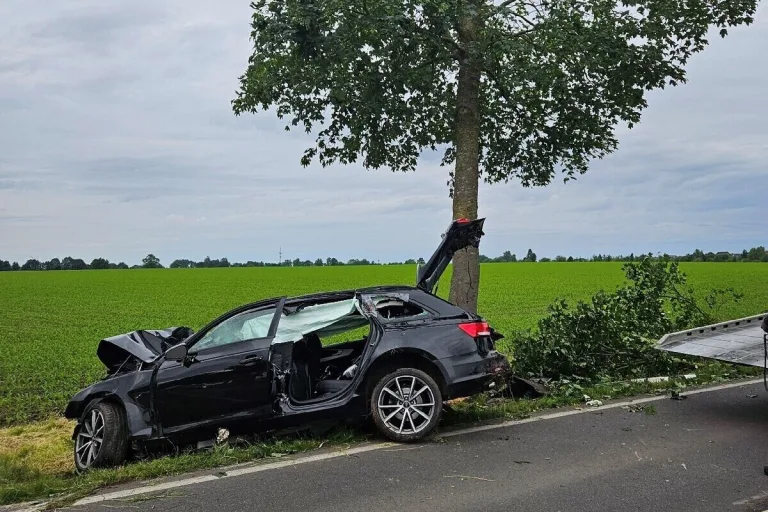 Harsefeld - Audi meldet Unfall - Mann im Auto eingeklemmt