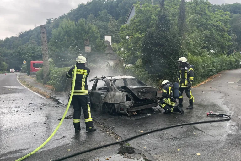 Mülheim an der Ruhr – PKW-Brand greift auf Hecke über