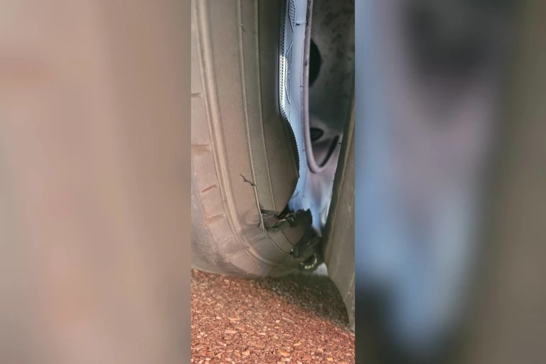 Neuhausen am Rheinfall SH – Reisecar mit geplatzten Reifen gestoppt
