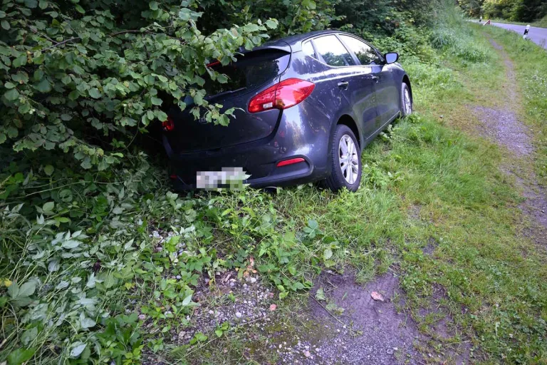 Schmerikon SG - Unter Alkoholeinfluss Unfall verursacht
