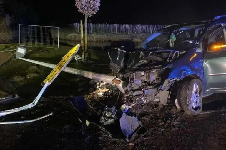 Unfall in Jork NI - Tier ausgewichen