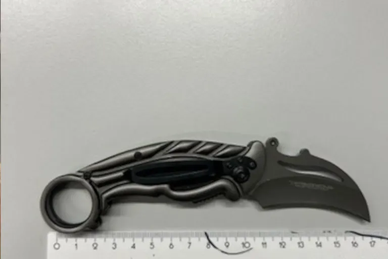 Diebstahl in Drogerie in Wien – Frau mit Karambit gefasst