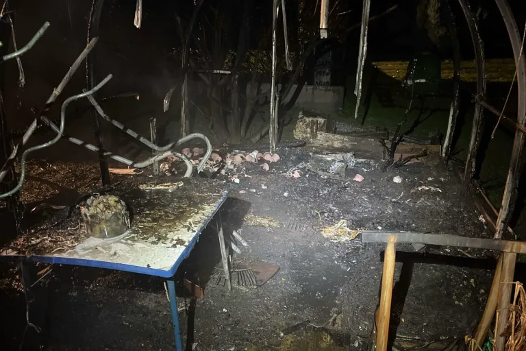 Berneck SG - Brand in einem Gewächshaus - Es wird von Brandstiftung ausgegangen 